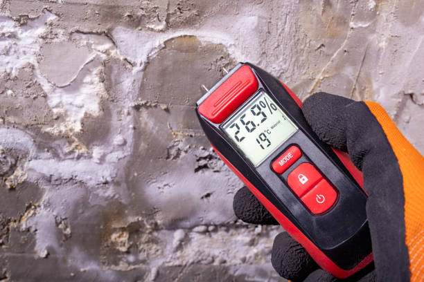 Best Crawl Space Mold Removal  in Pittsboro, NC