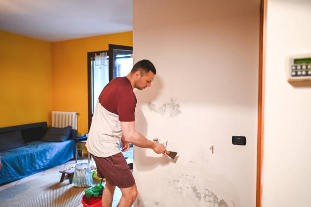Best Mold Remediation  in Pittsboro, NC